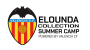 eikonidio valencia